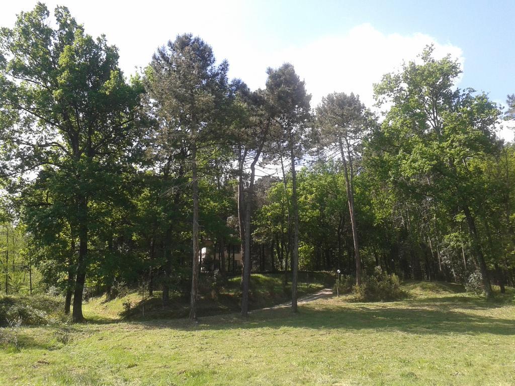 Park View Country House B&B Capannori Kültér fotó
