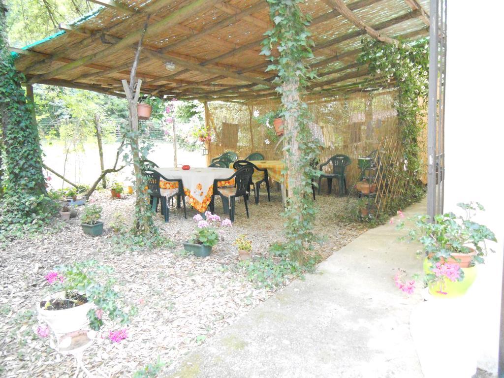 Park View Country House B&B Capannori Kültér fotó