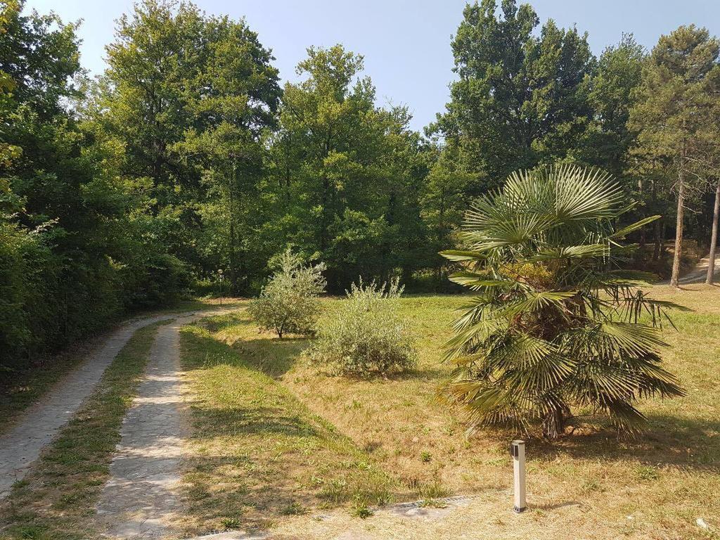 Park View Country House B&B Capannori Kültér fotó