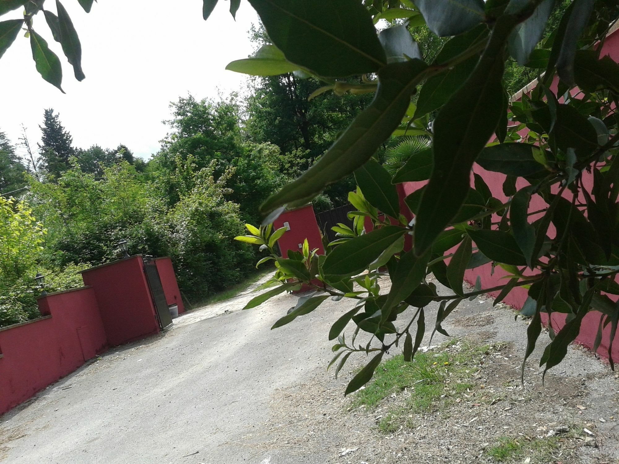 Park View Country House B&B Capannori Kültér fotó